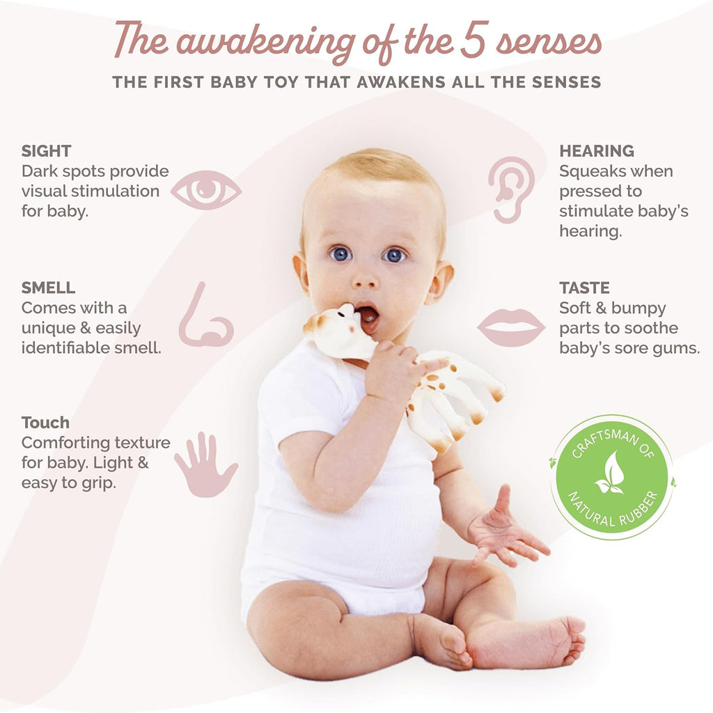 Sophie la girafe | Handcrafted for 60 Years in France | Gift Ready Packaging | (616400) | Includes Authenticator Feature