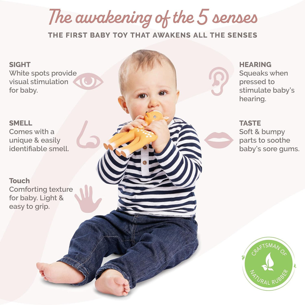 Sophie la girafe Fanfan The Fawn | Teether Friend to Sophie la girafe | Natural Rubber | Designed for Teething Babies | Awaken All 5 Senses | Easy to Clean
